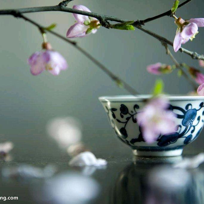 水玲珑