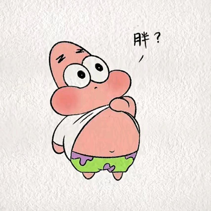 小派总