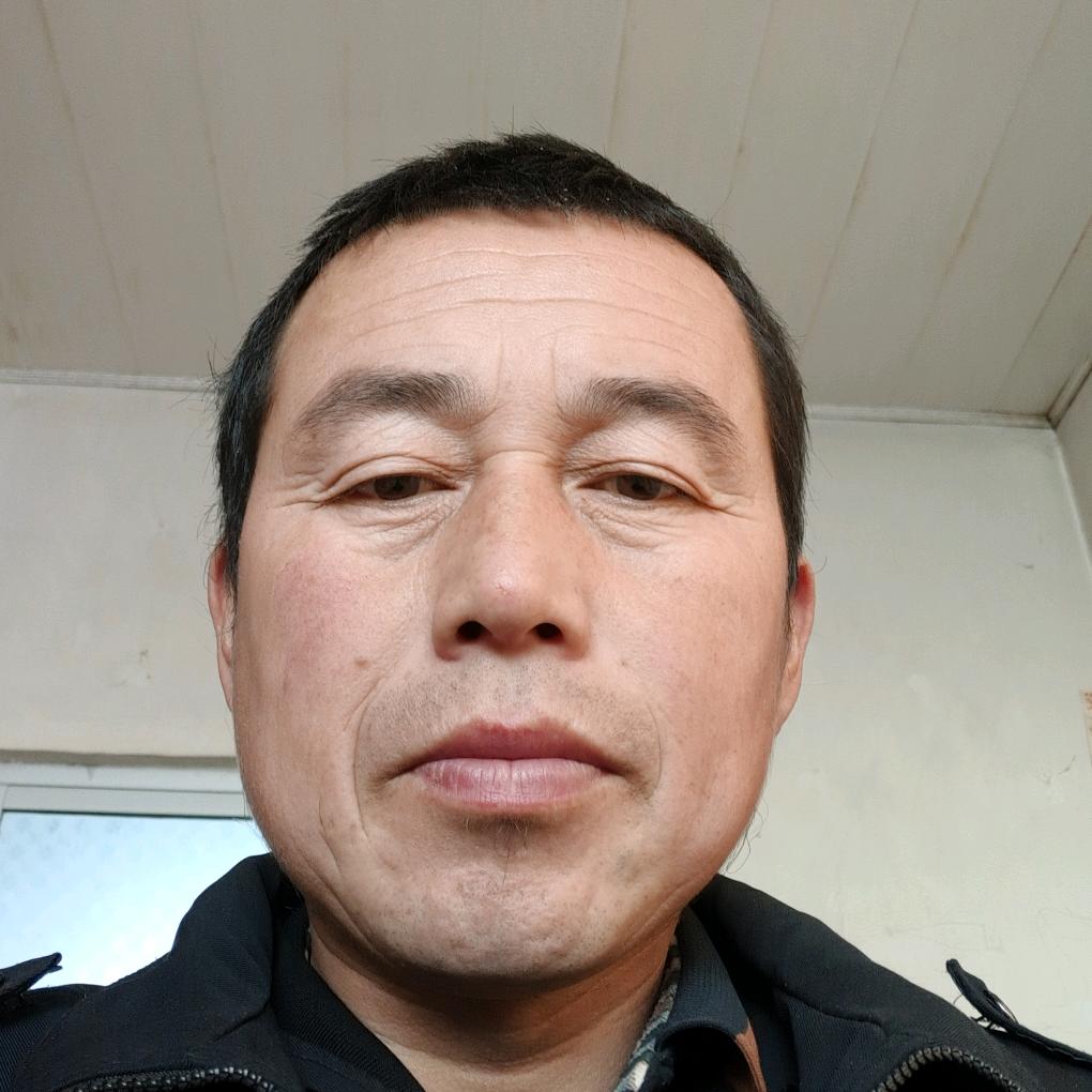 黄牛改良