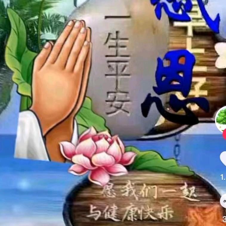 不离不弃