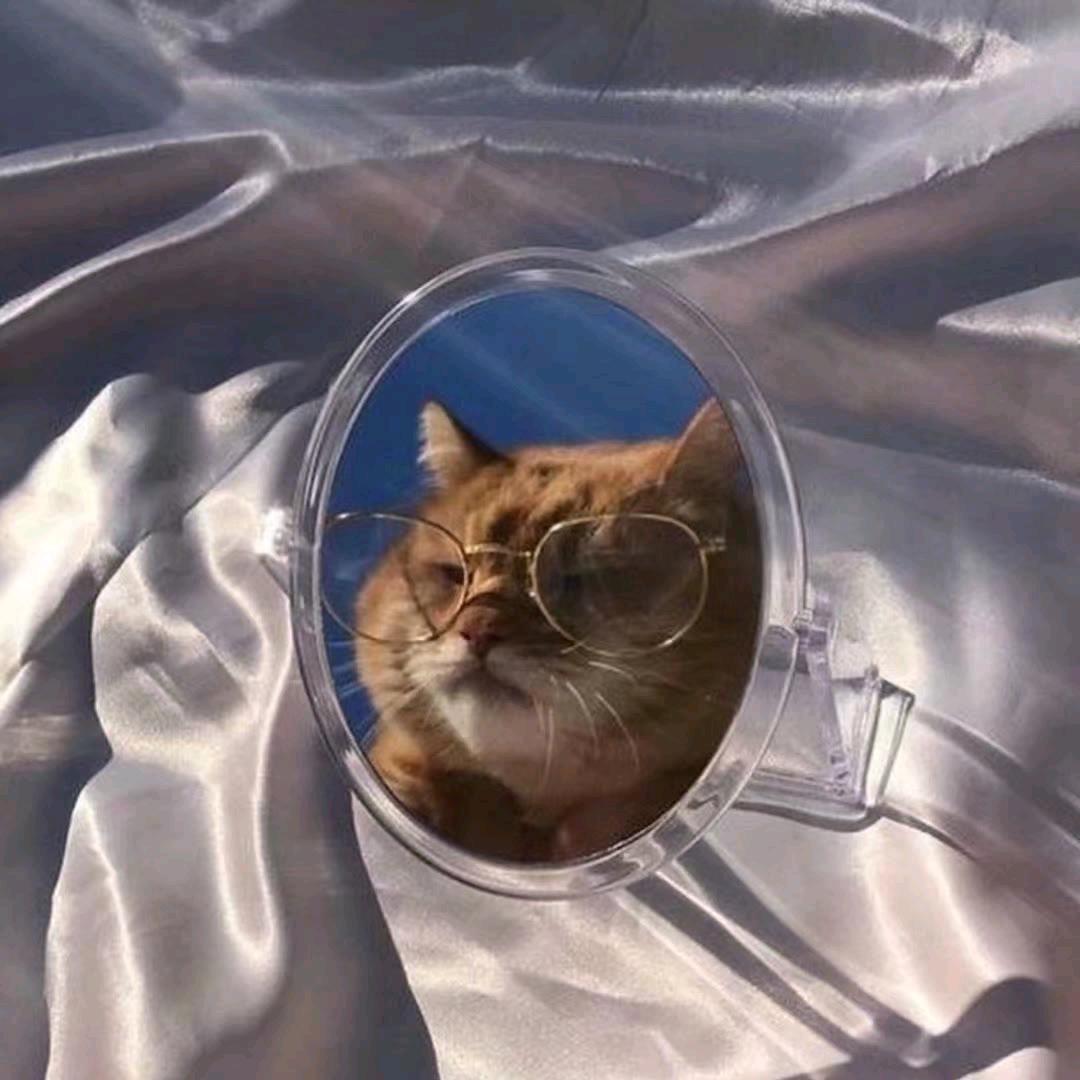 海