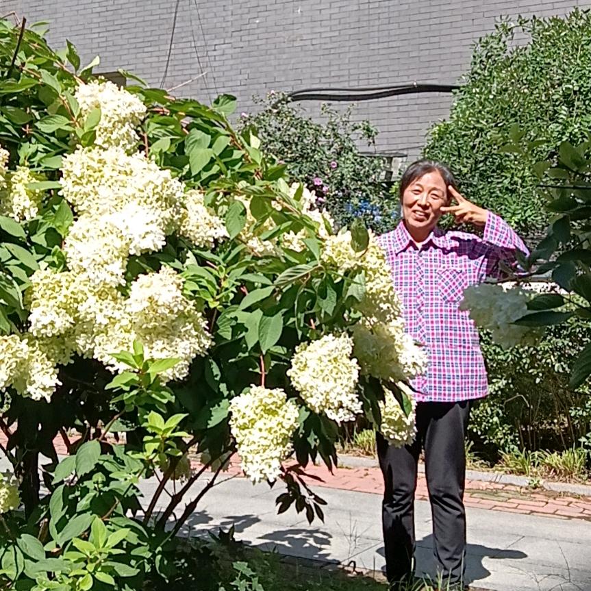桂芝