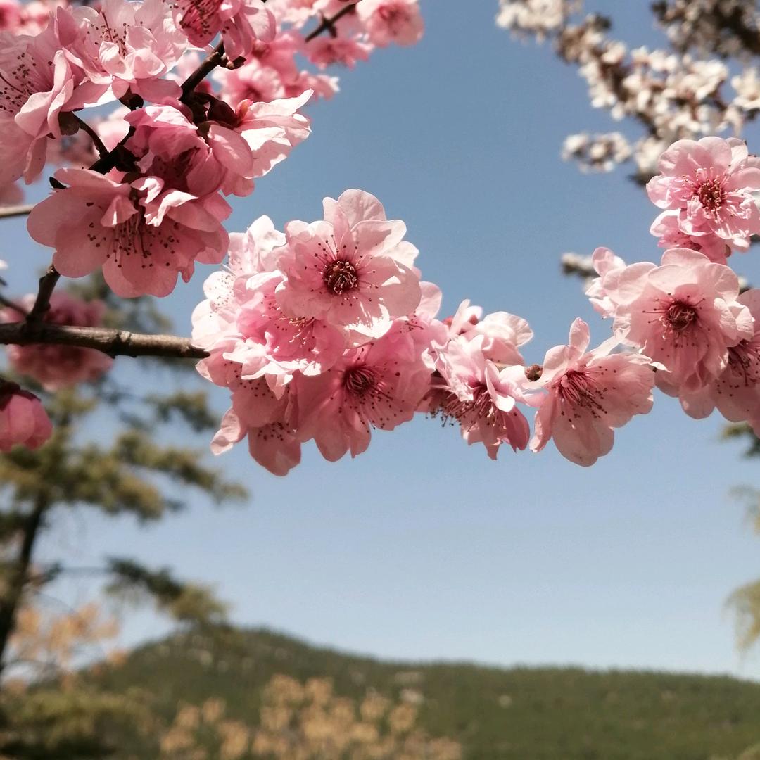 🌼云朵☁️🌼