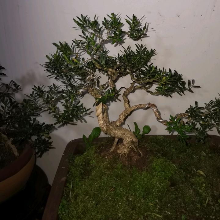 承接各种钢结构