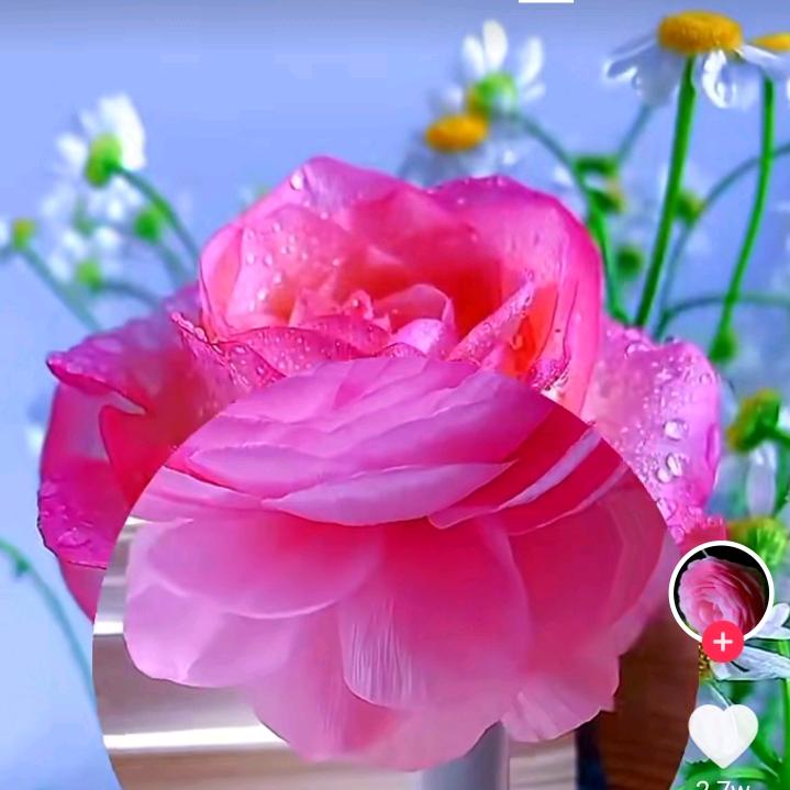 ღ᭄好运ꫛ加满💞