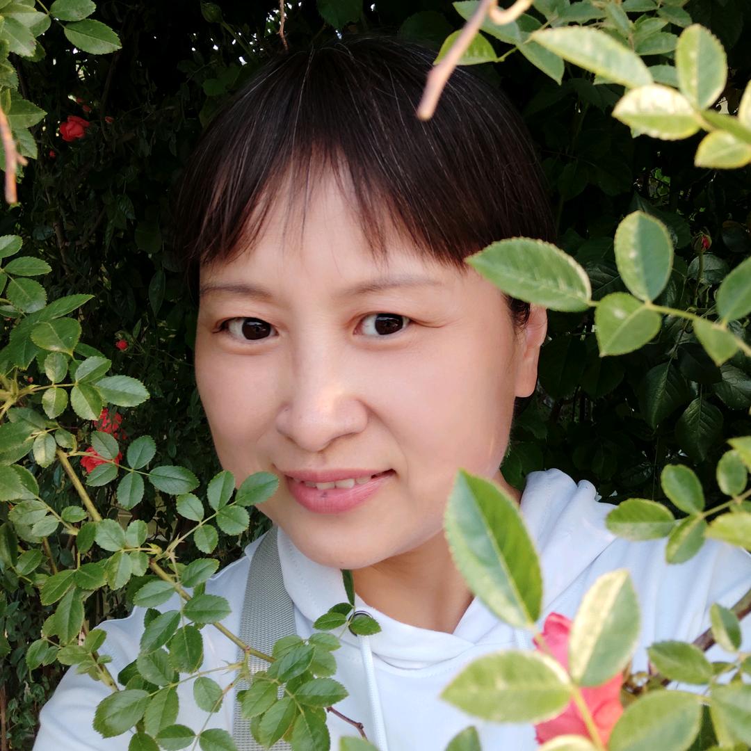 仙人掌🌵