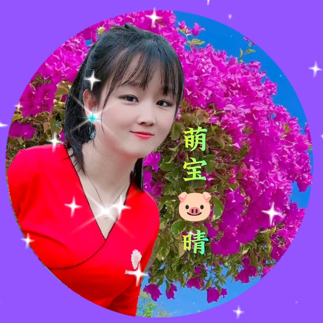 527、青松🌲星⭐星⭐