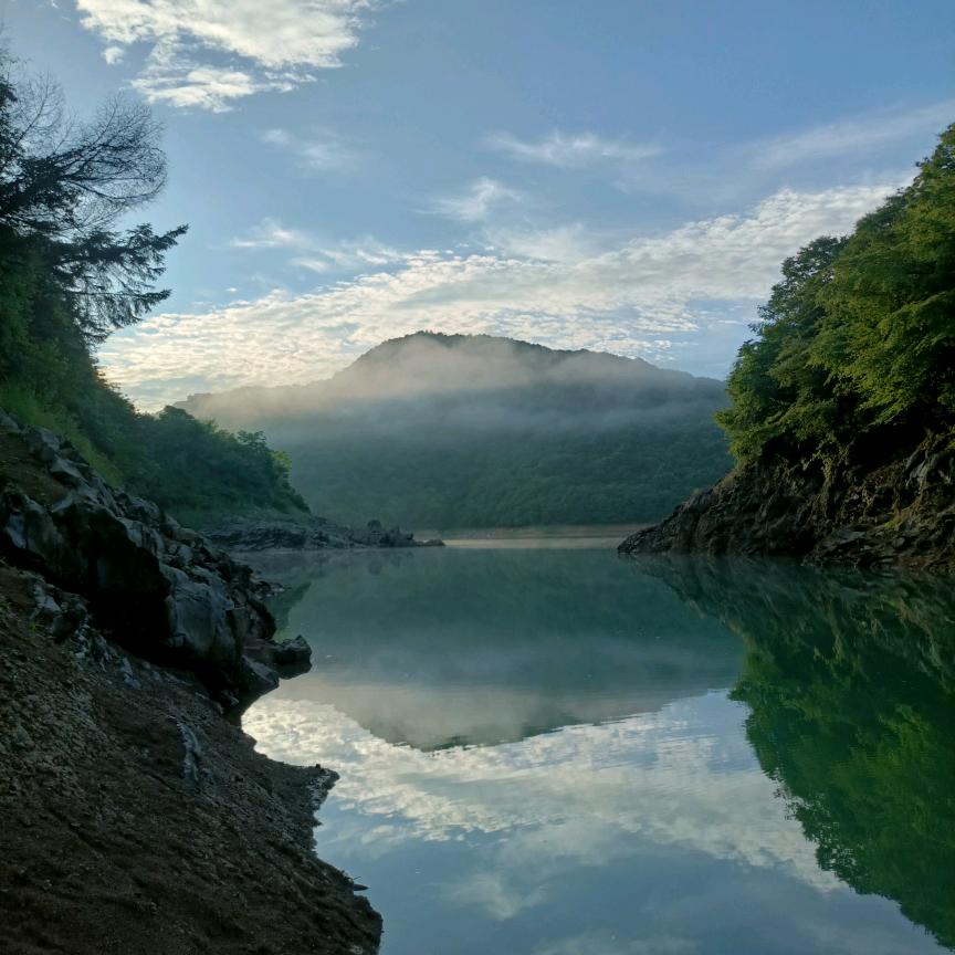 买根杆杆去钓鱼