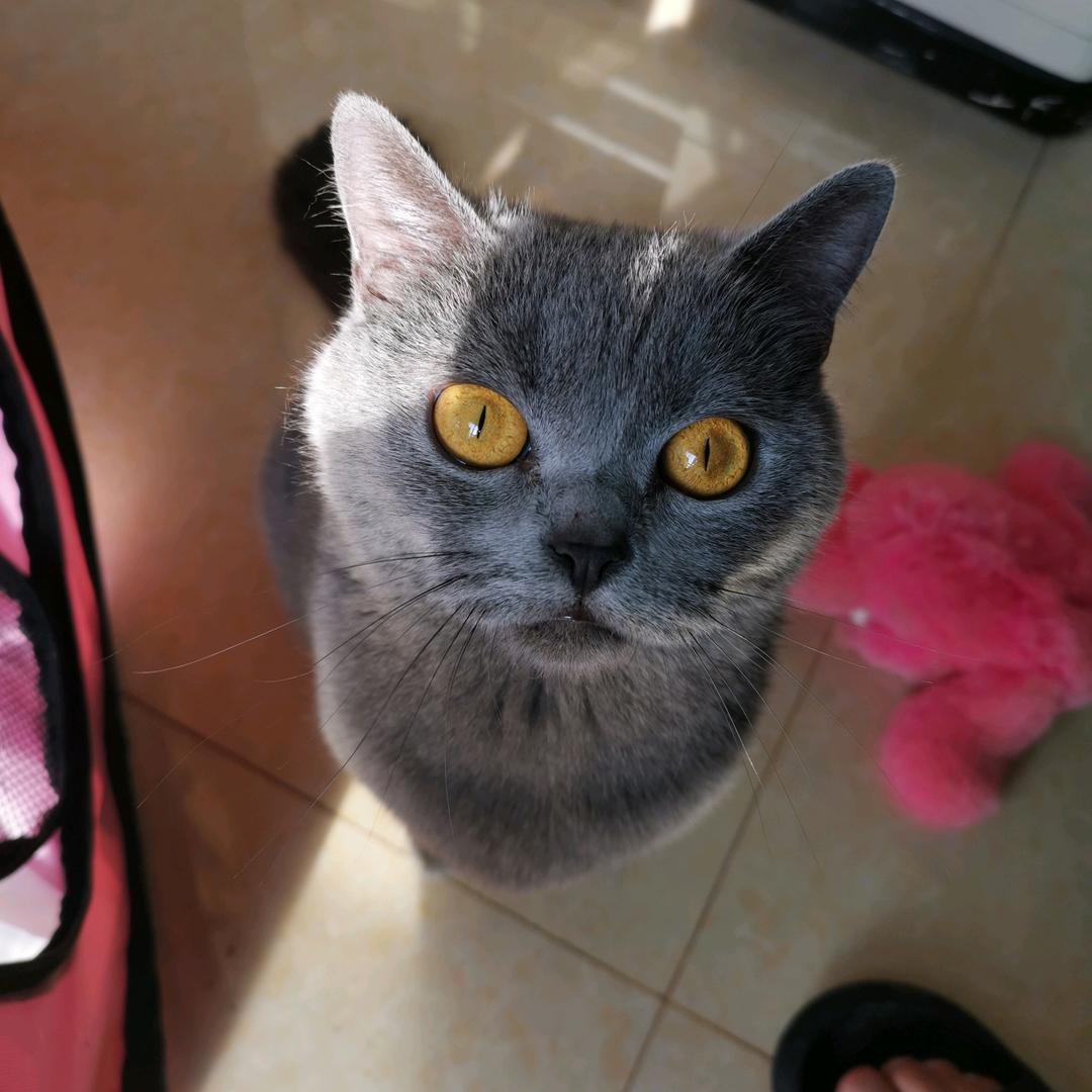 財好