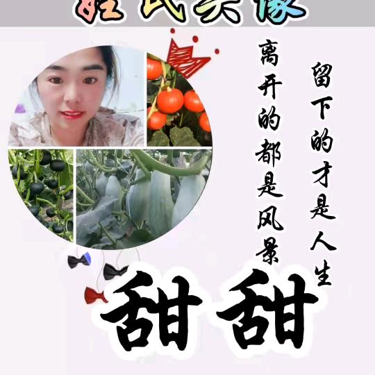 本才贝贝-幸福甜甜