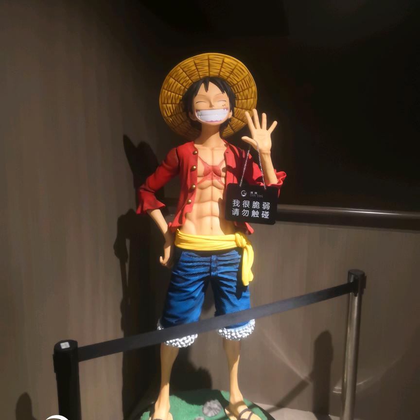 💖未来之星💖