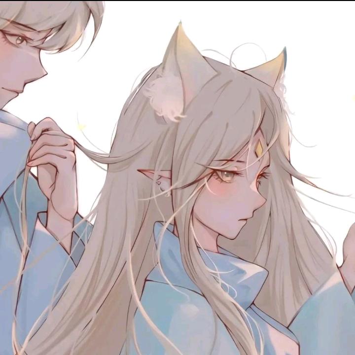 心月