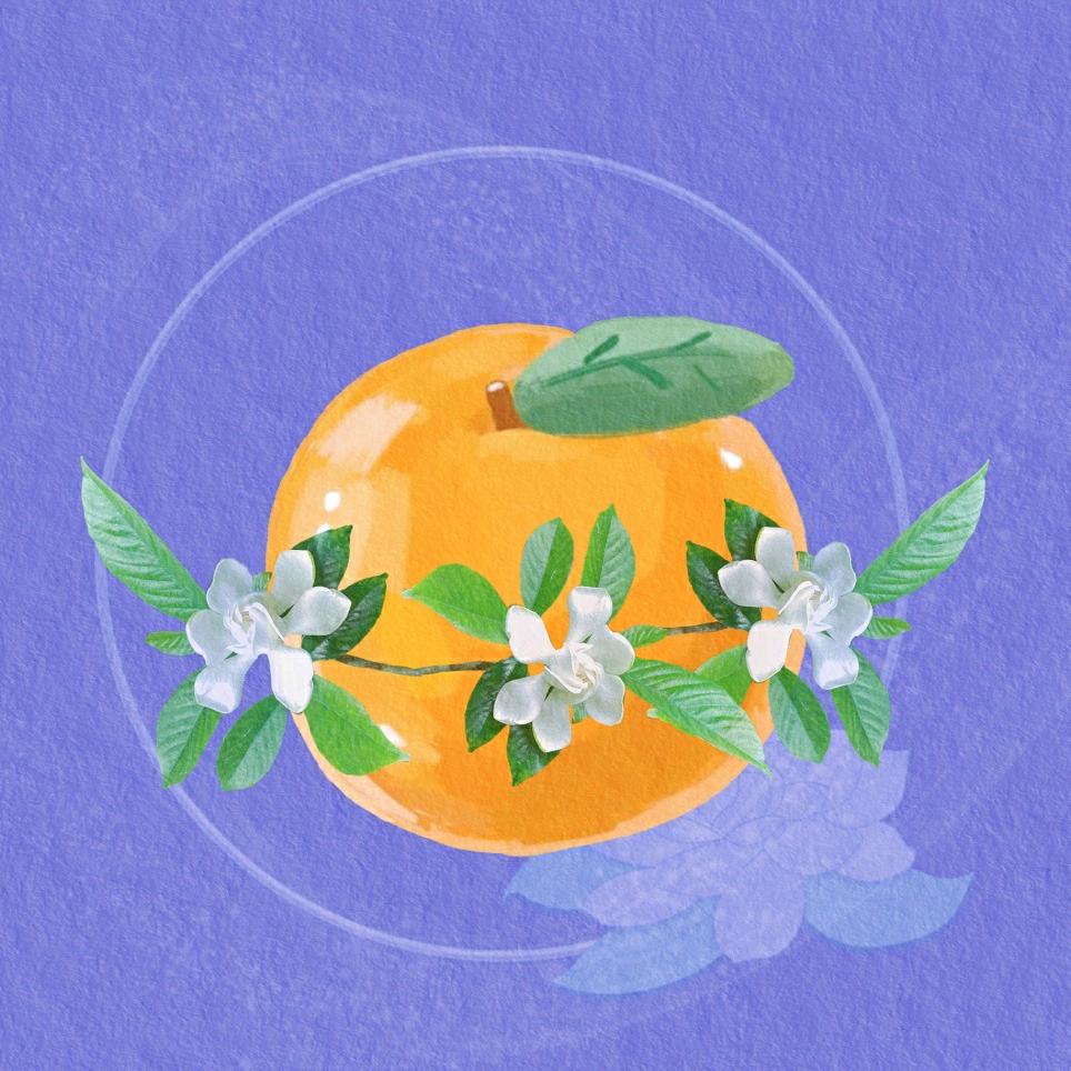 兔纸young 511291640🍊