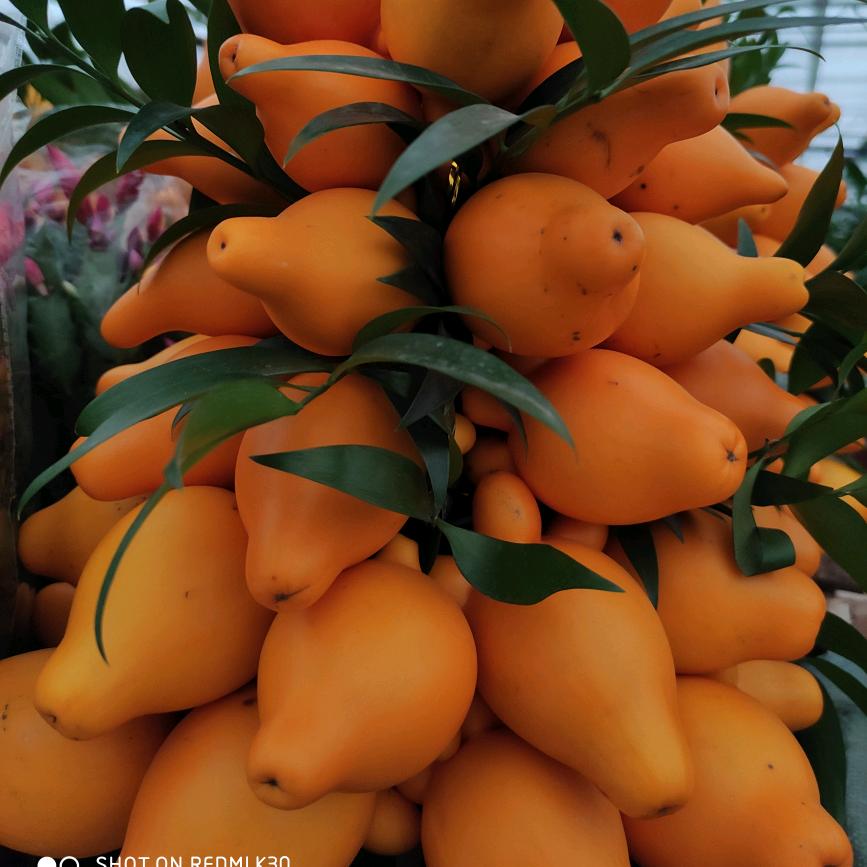 心之所想，皆是过往。