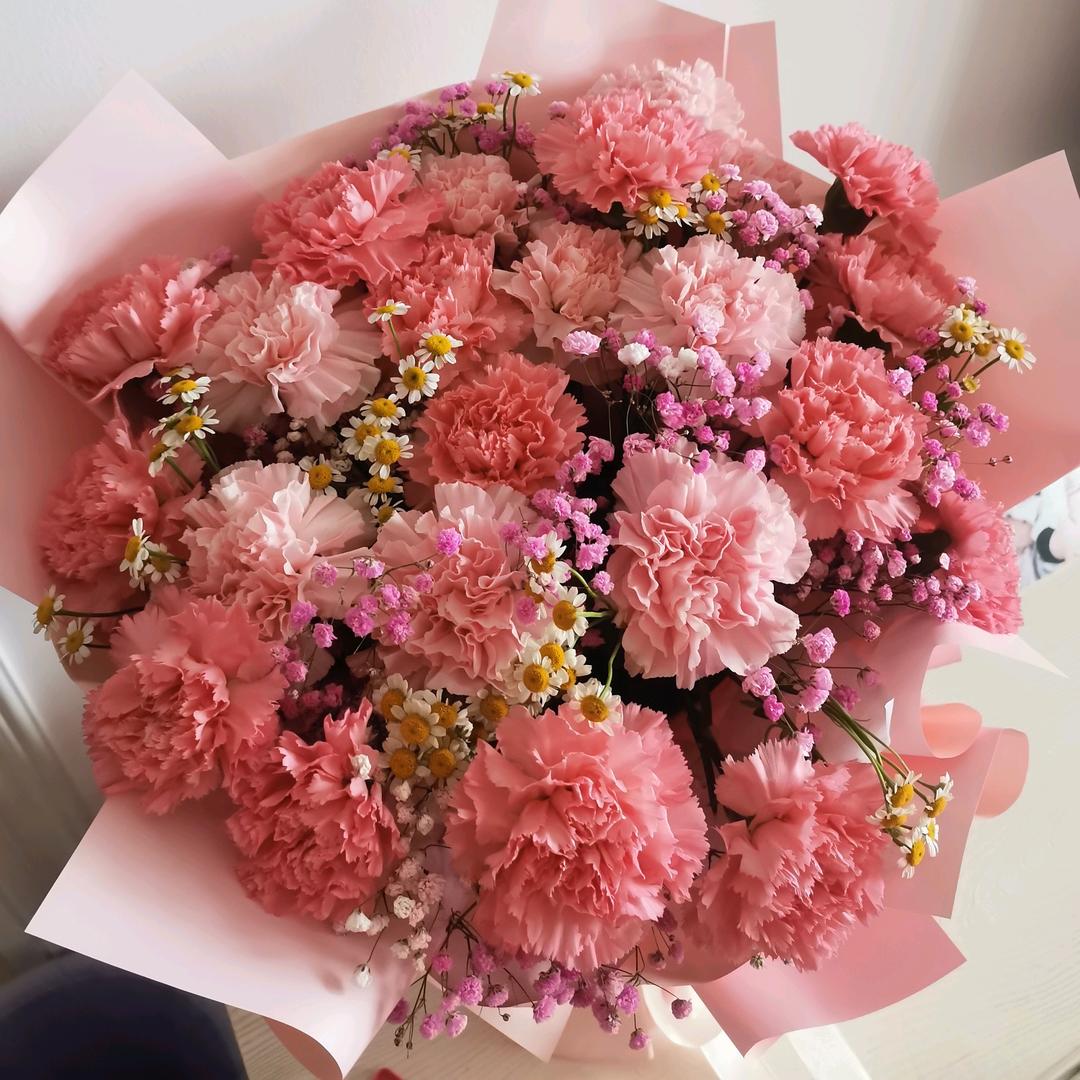 🌸花儿朵朵红