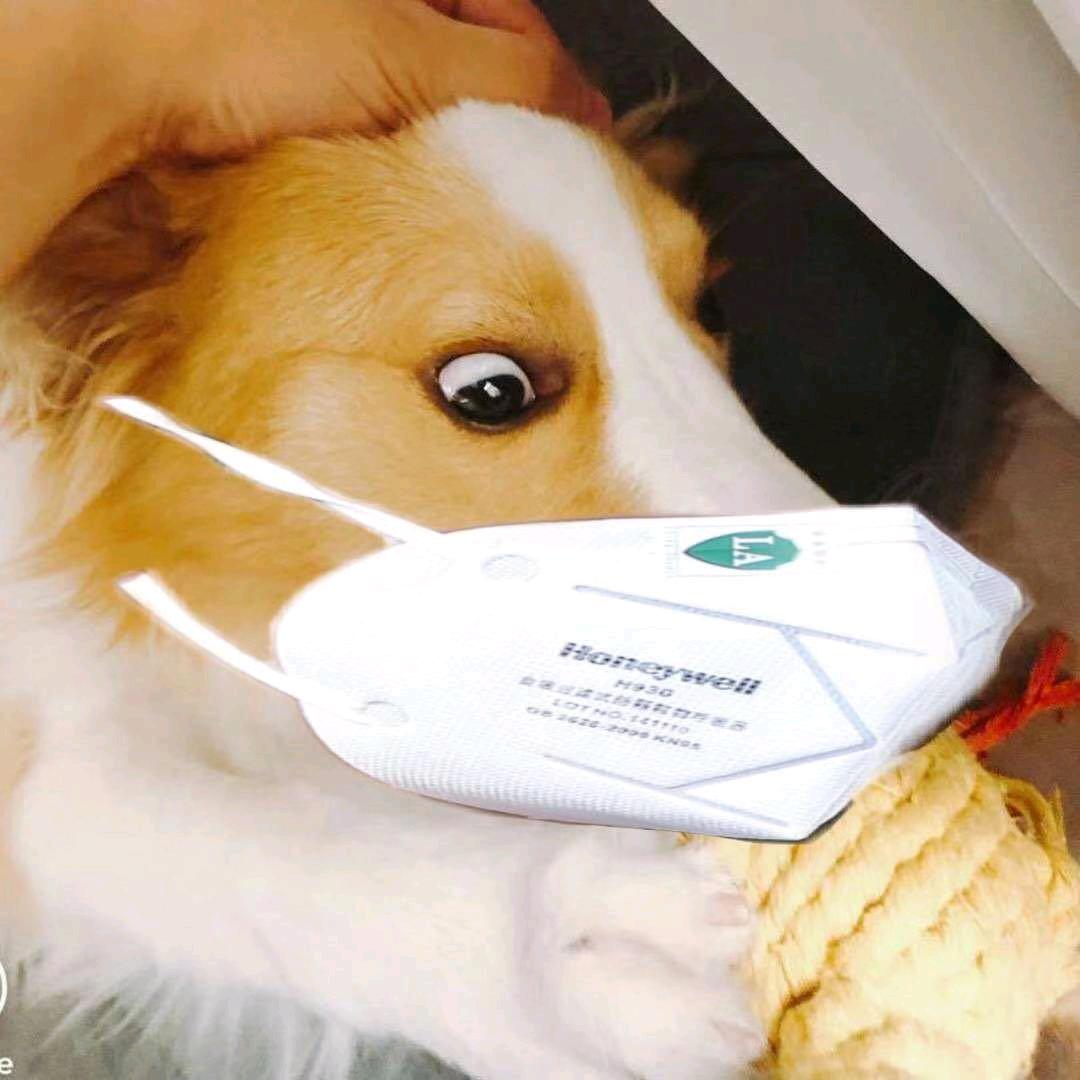 小小张的水果铺