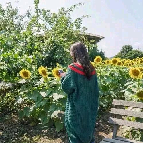 田青（好物在橱窗）