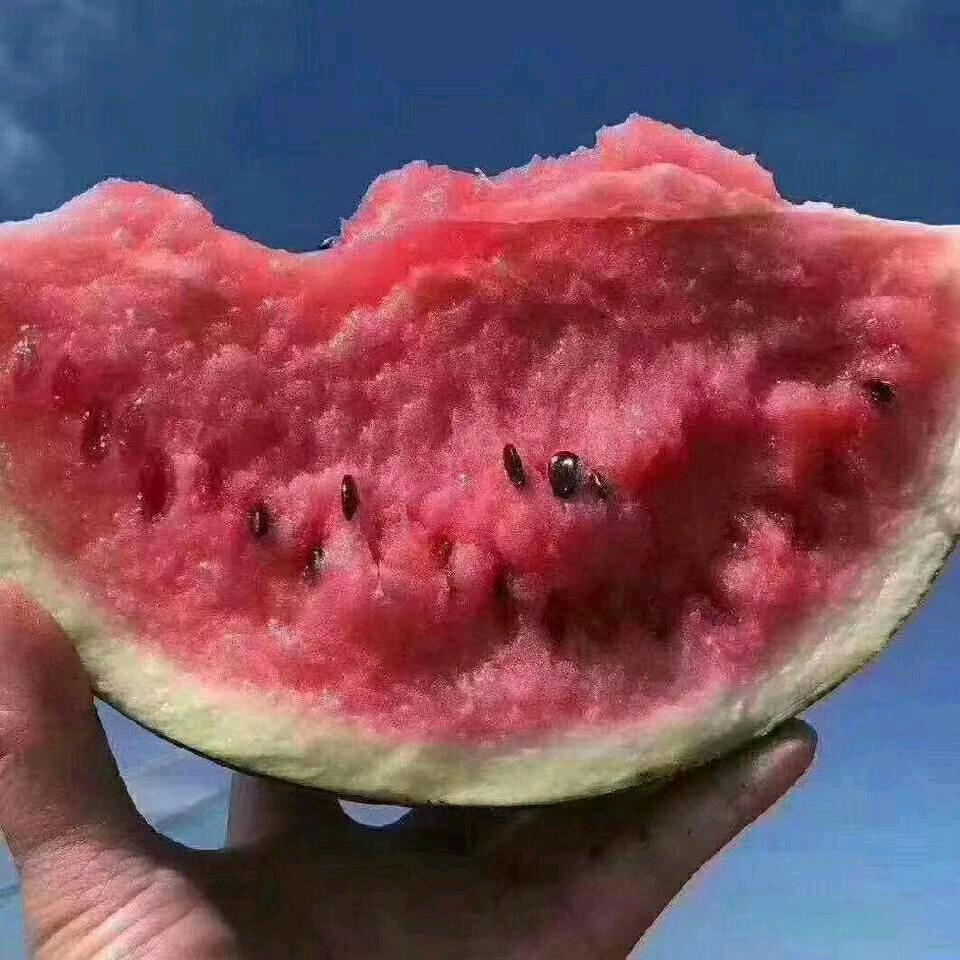 路边水果摊