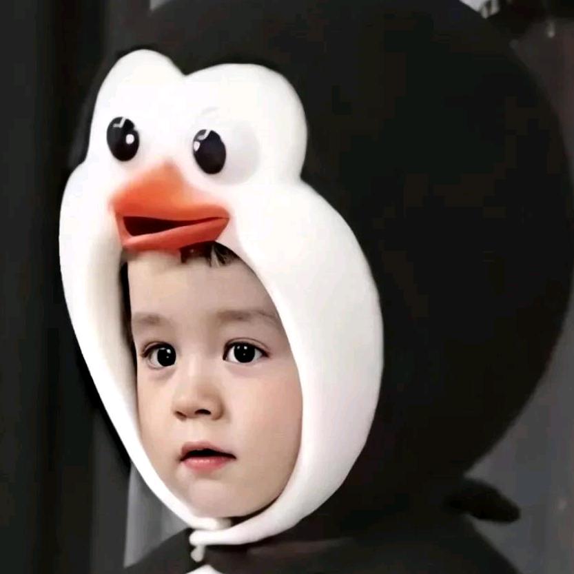 乌鱼W