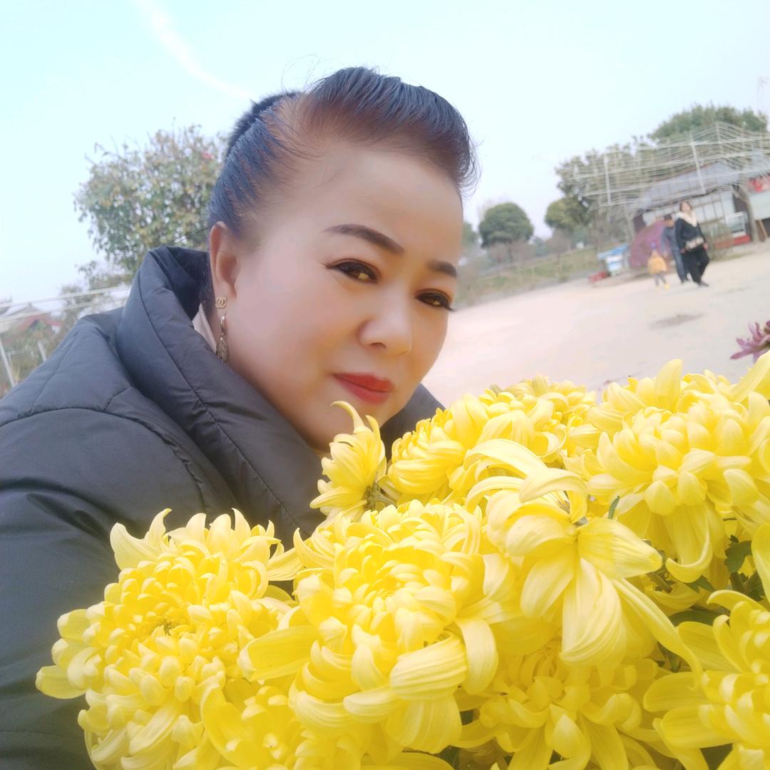 褚@家:)五朵金花之一