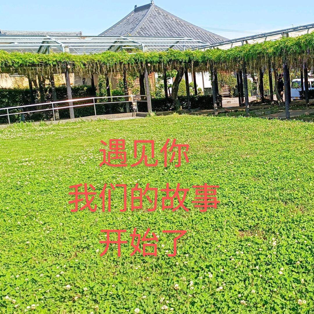 张家公主