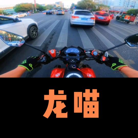龙喵 ꪝ