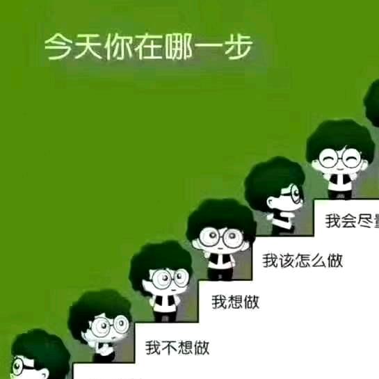 丽丽不躺平