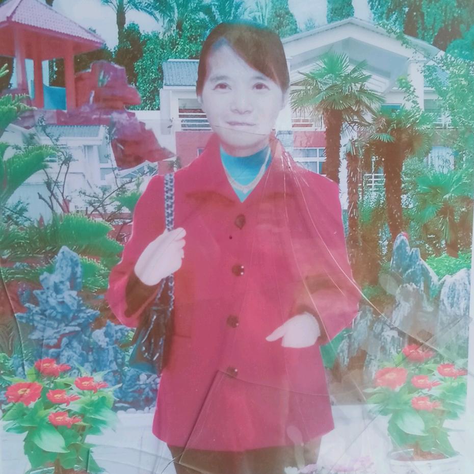 花开花落花弥漫