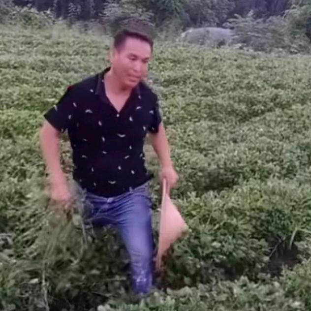 农村三傻子