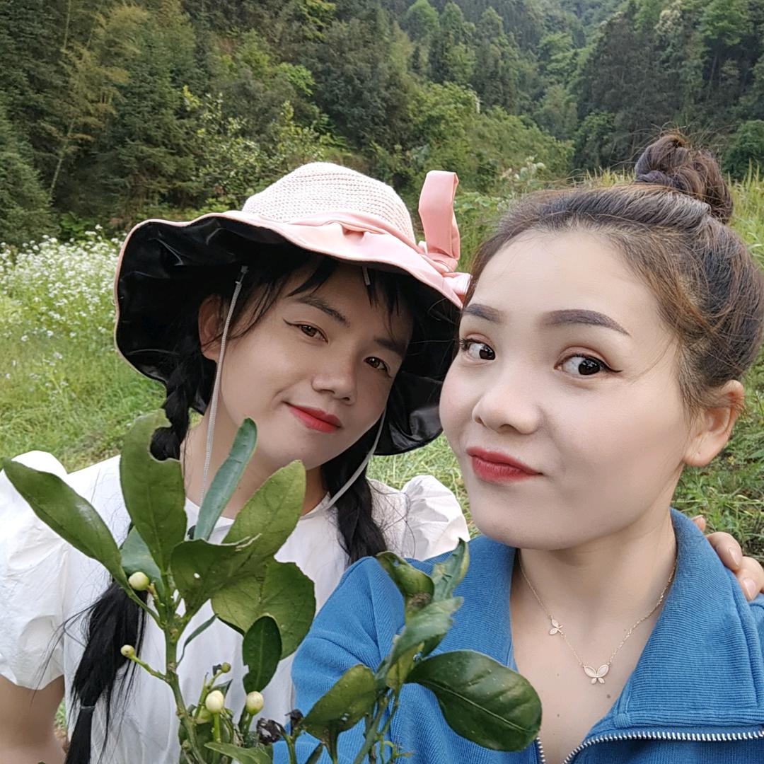 光月精选