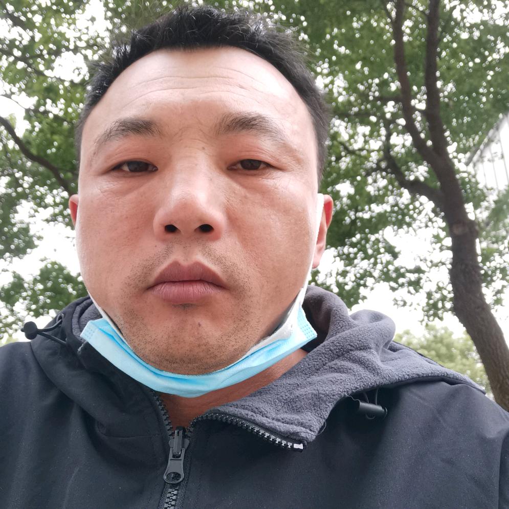 西北狼