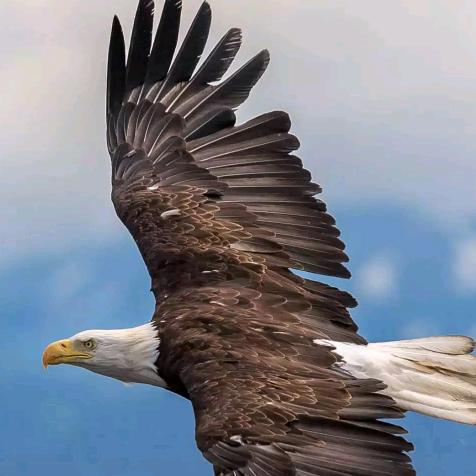 兰州电缆～众邦电缆