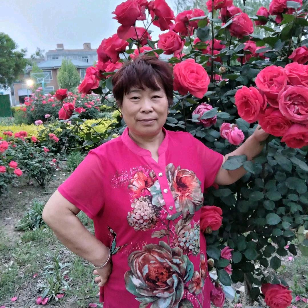 连连