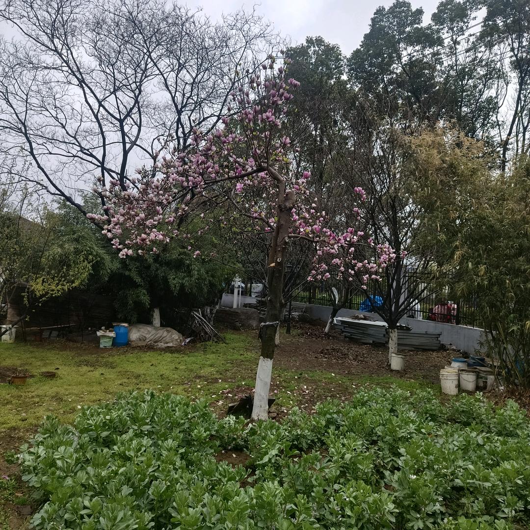延安大疆农业无人机