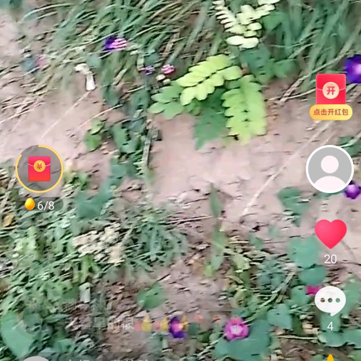 键康快乐