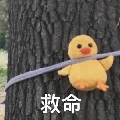 卖平底锅的喜阳阳