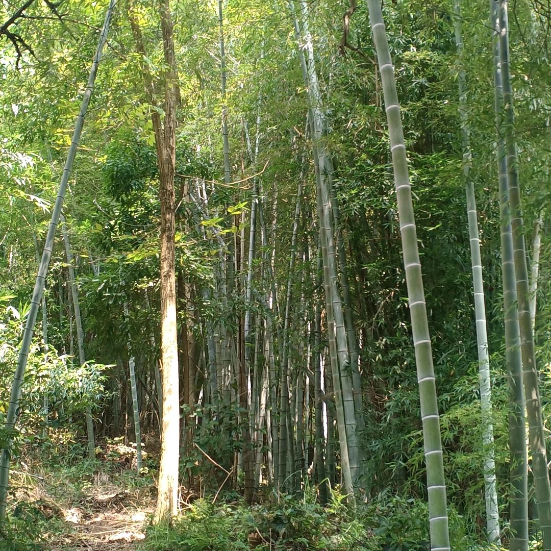 跟过去告别