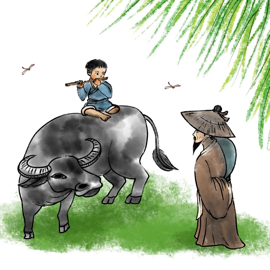 牧童岗水牛肉