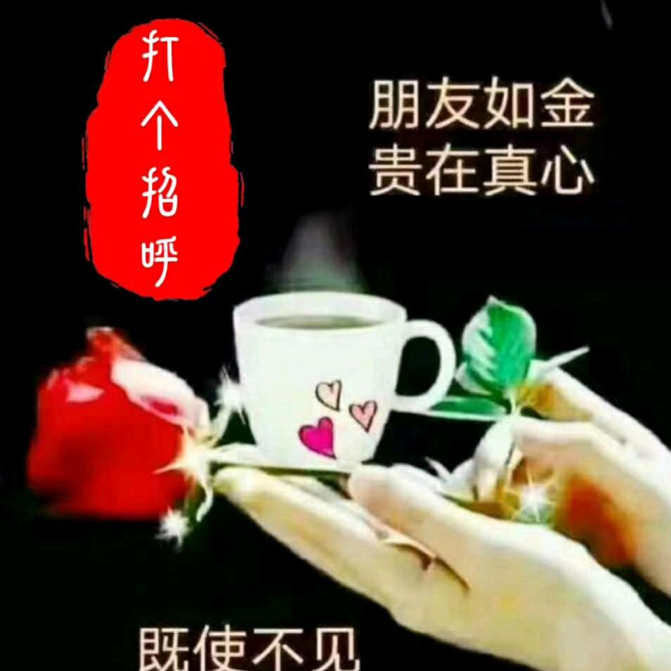 薄荷：撞：可乐