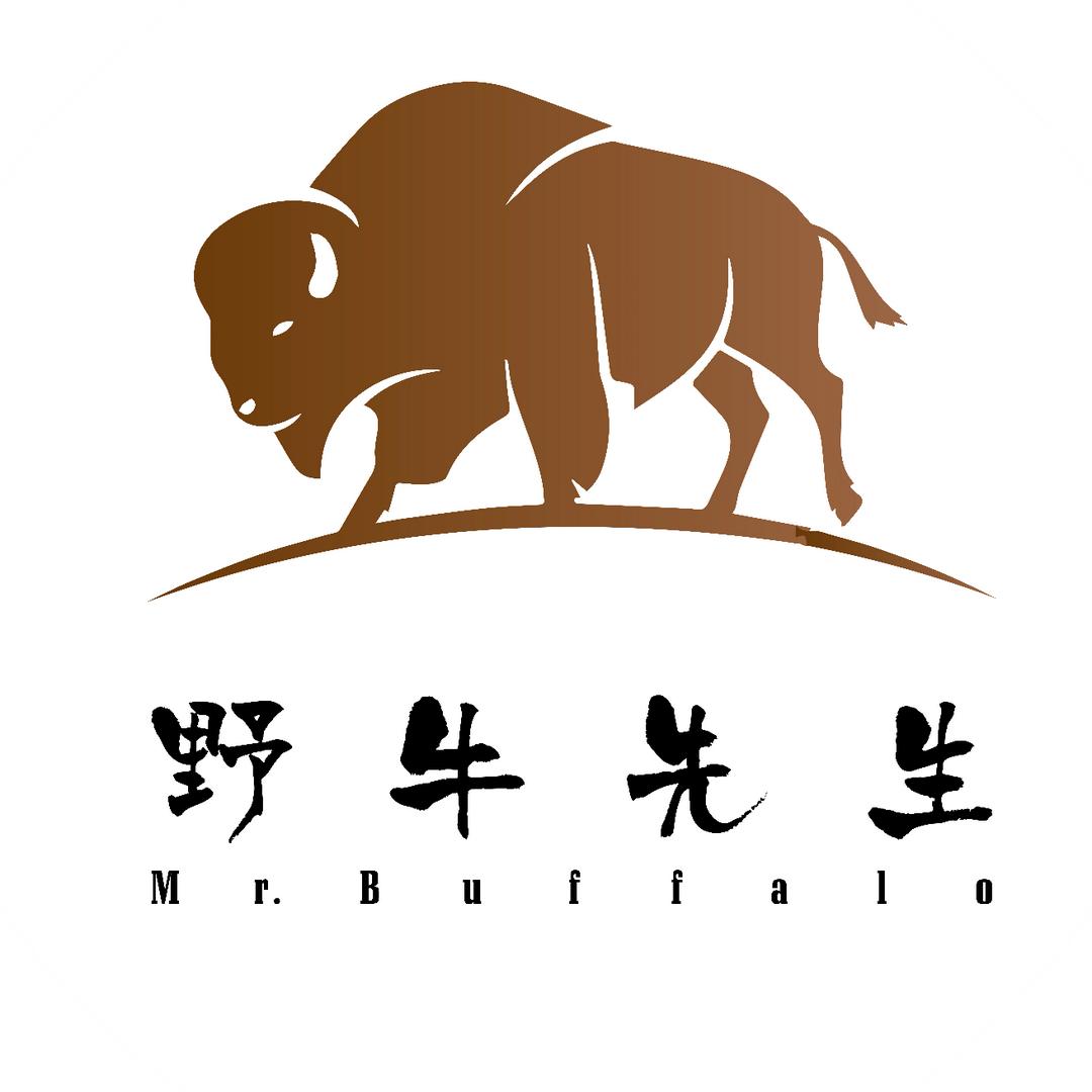 野牛先生路亚