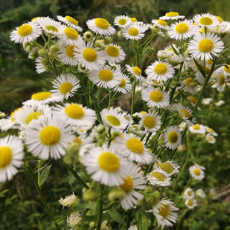 雪糕批发部(湄潭店)