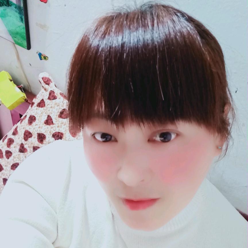 雾里看梅