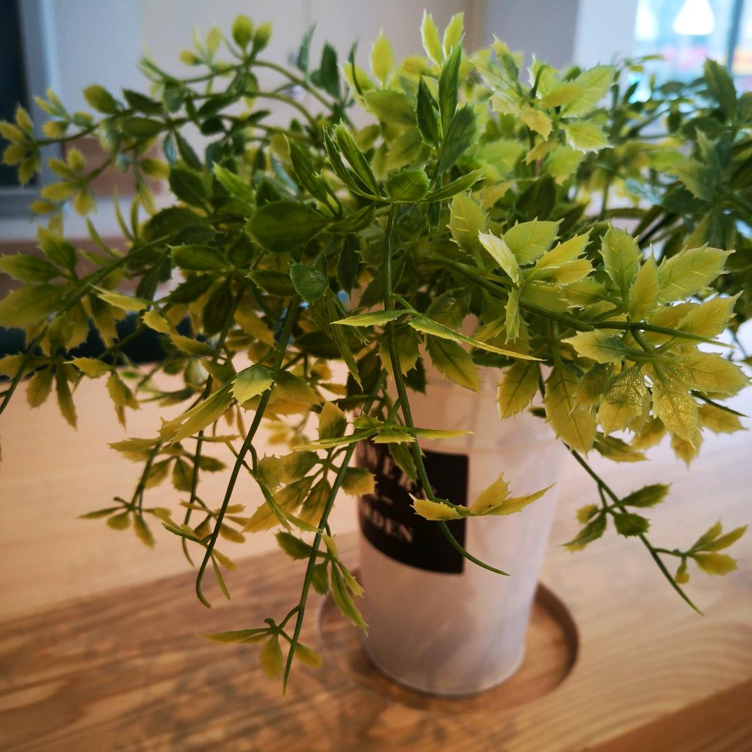 敏而好学👍🏻