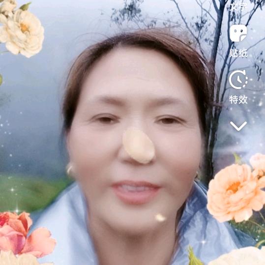 桃花姐