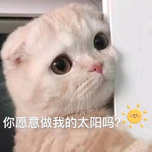 陌然浅笑