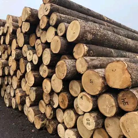 顺鑫办公家具
