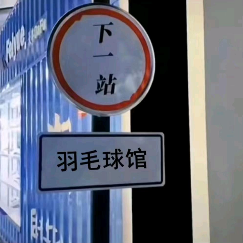 轻羽旺飞扬