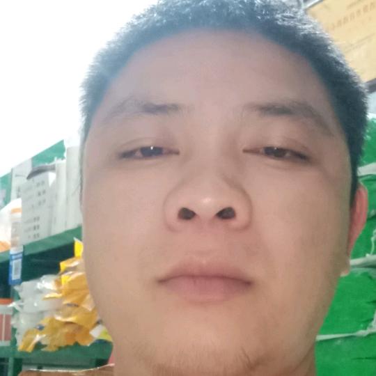 龙四