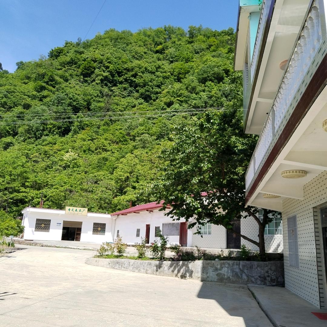 绿茶批发魏老板