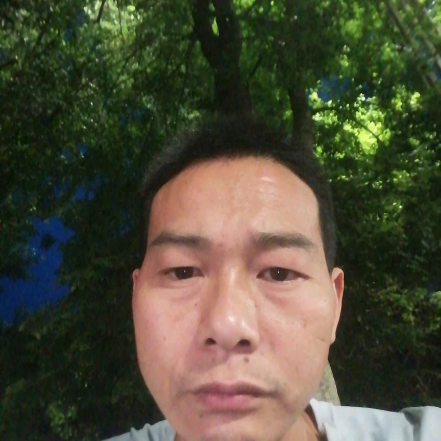 李伟